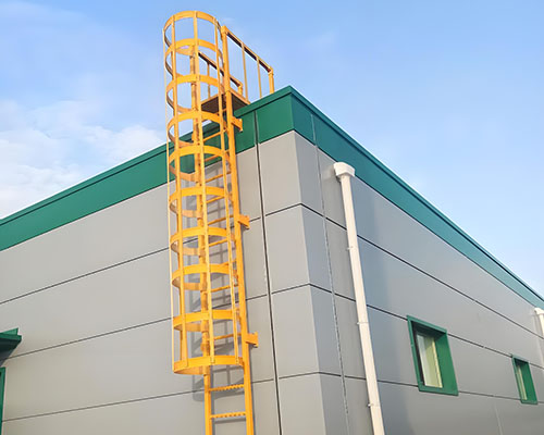 Fiberglass cage ladder